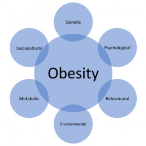 What causes obesity? - Southern Weight Loss and Laparoscopy Limited