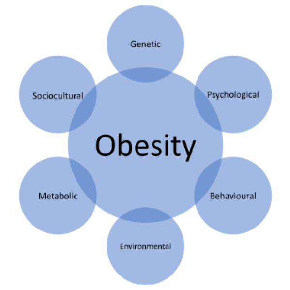 Obesity Venn Diagram