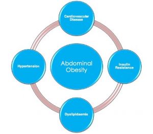 Causes of Metabolic syndrome