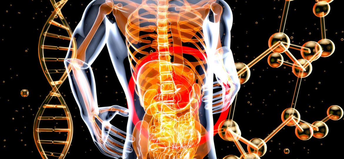 julien-tromeur-ZMK0DU5wARA-unsplash